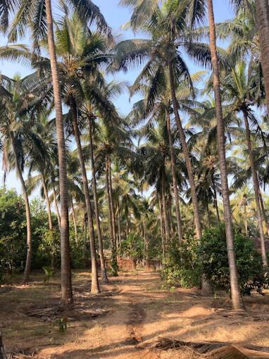 Sneh Beach Homestay - Wayangani Vengurla Экстерьер фото
